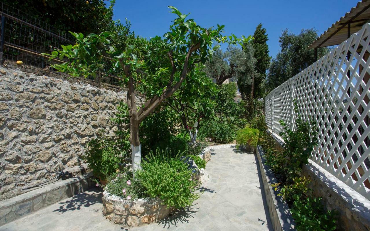 Thalassa Studios Paleokastritsa Luaran gambar